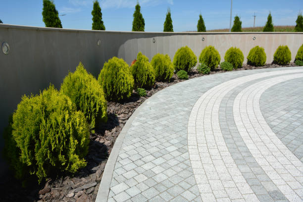 Best Driveway Pavers Near Me  in Brookfield, IL